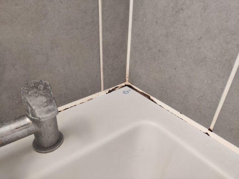 Black mould on cracked silicone, sealant