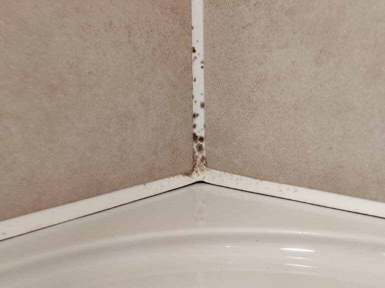 Cracked or peeling silicone